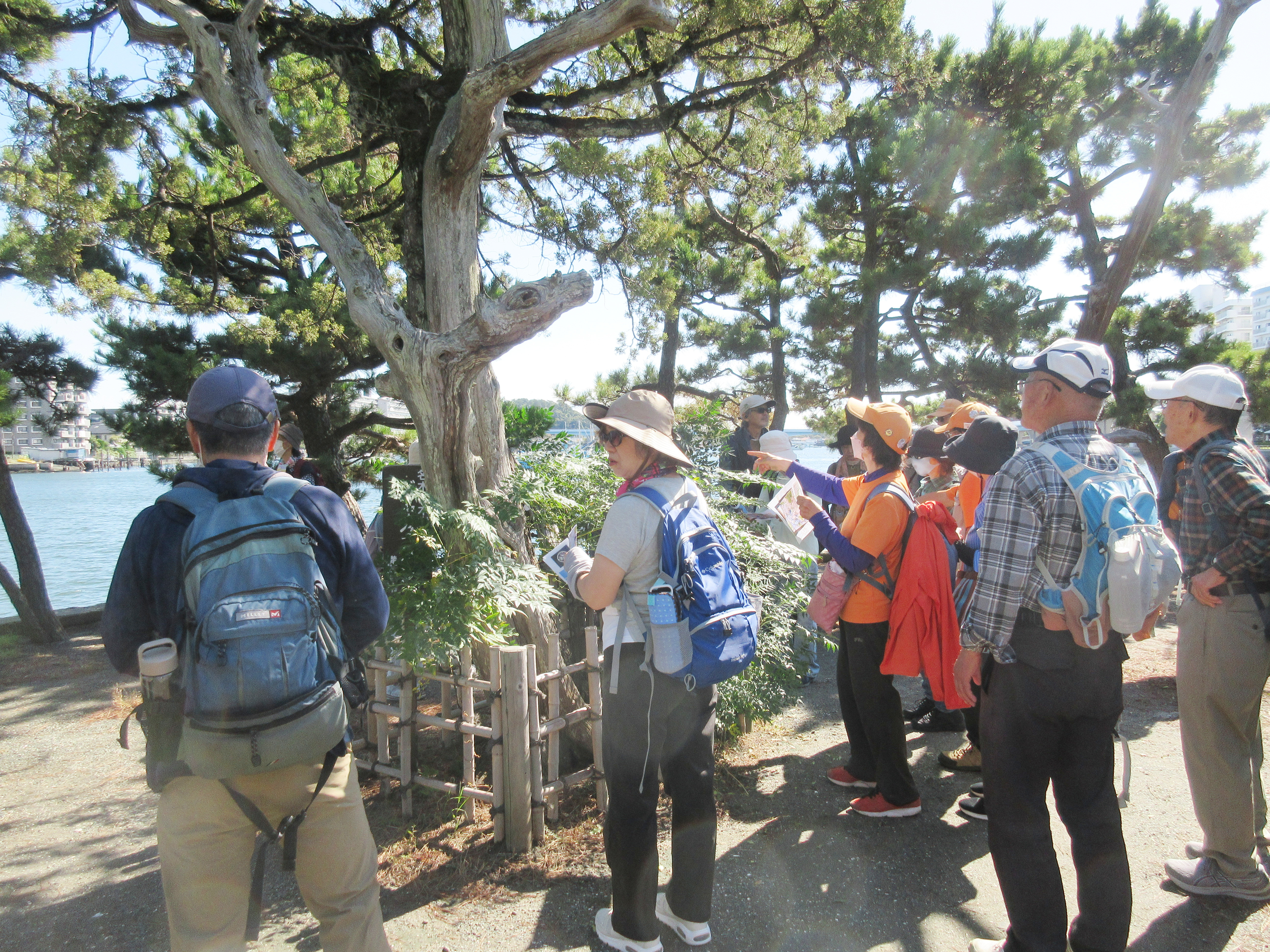 楽しいウォーキング 楽しいウォーキング