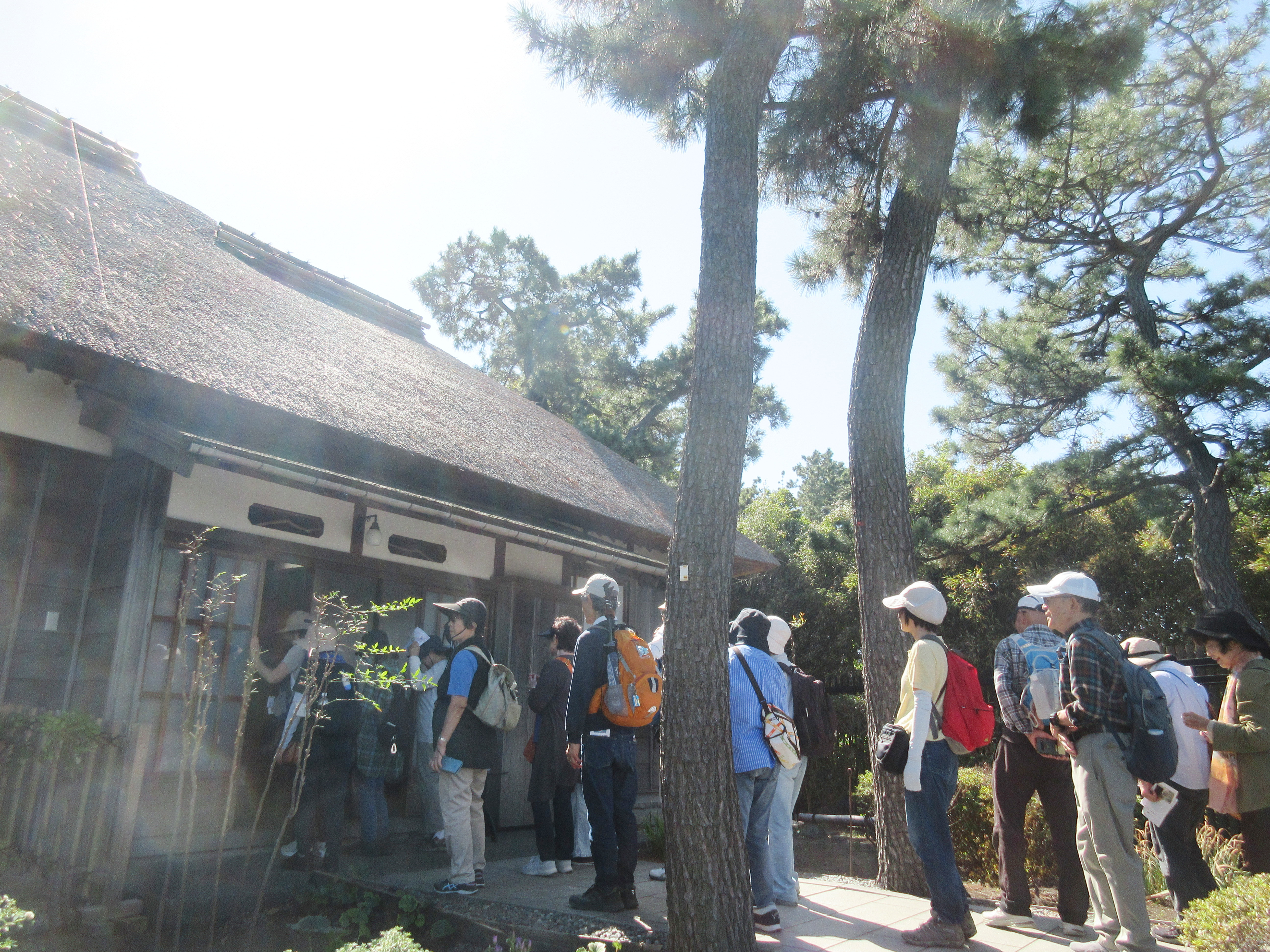 楽しいウォーキング 楽しいウォーキング