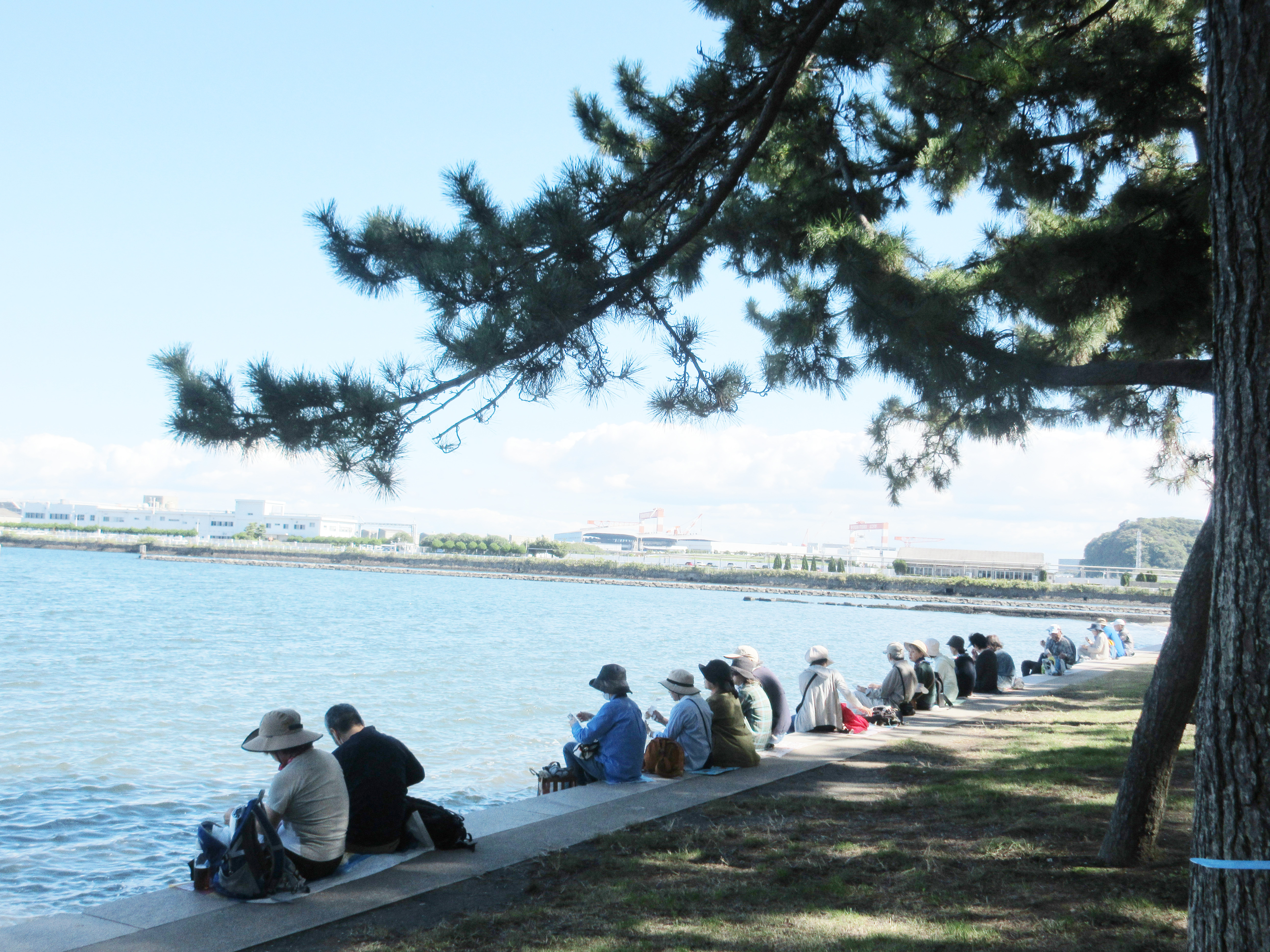 楽しいウォーキング 楽しいウォーキング