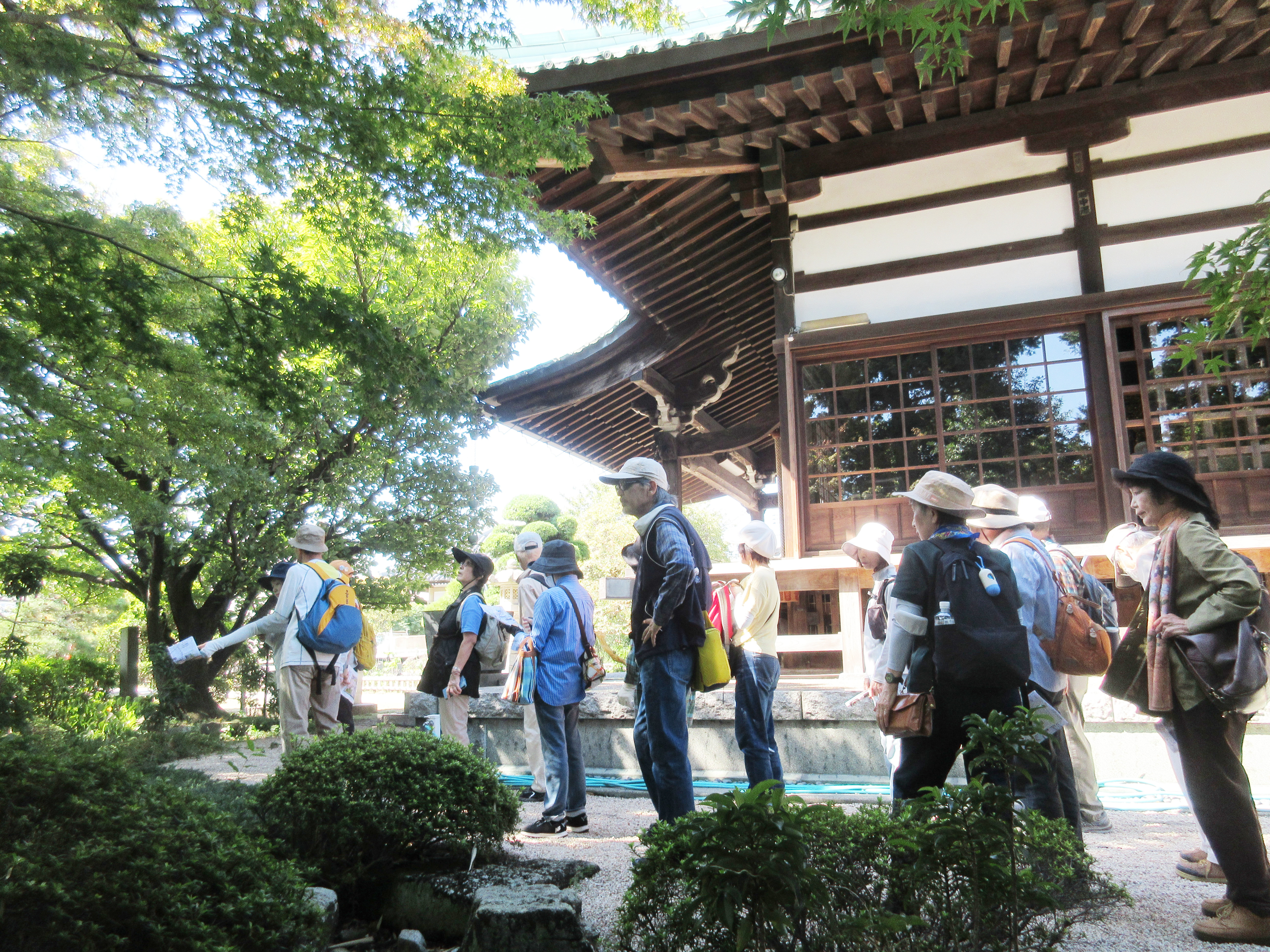 楽しいウォーキング 楽しいウォーキング