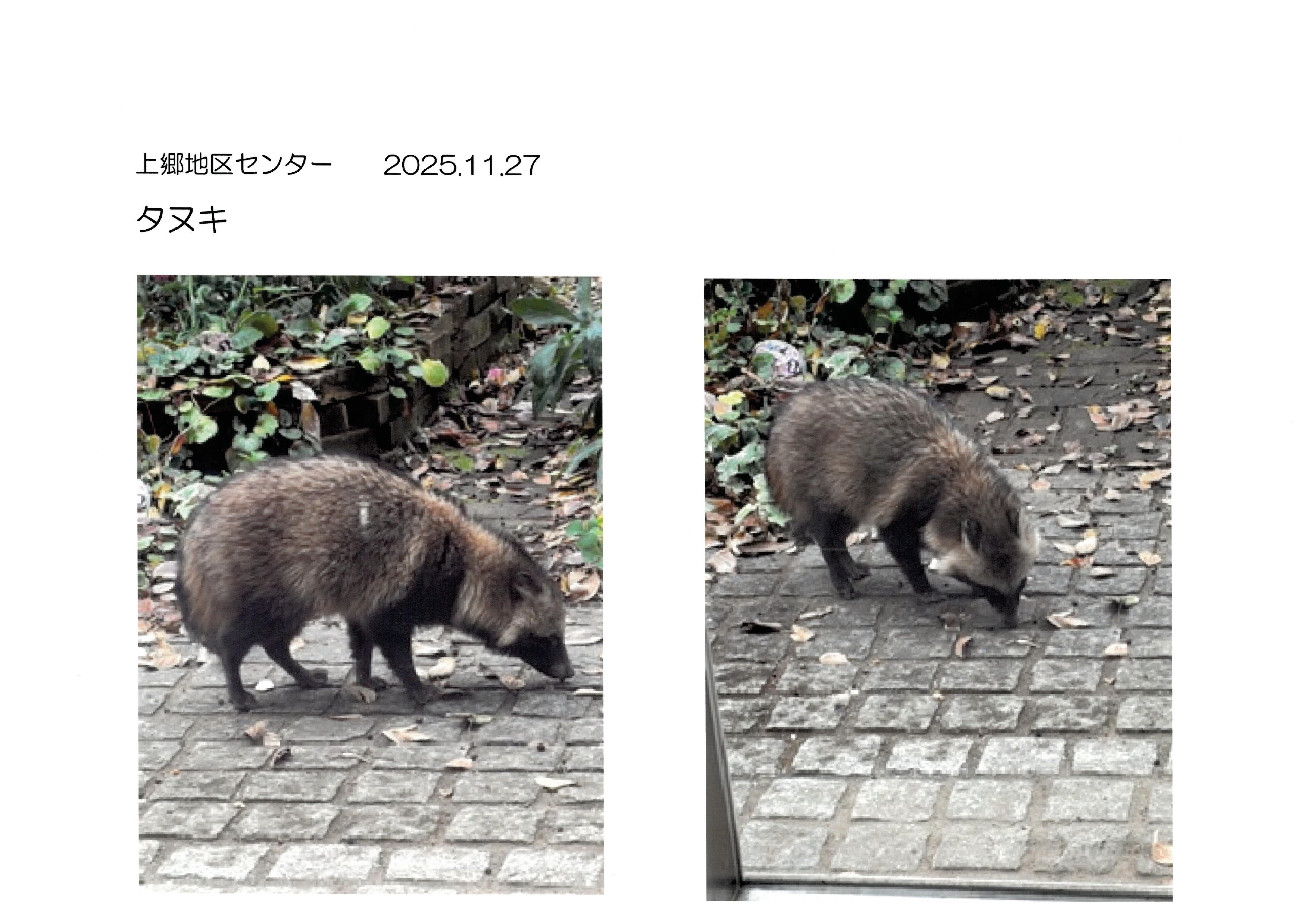 �Ԓd�ɂ��ʂ�������܂����B