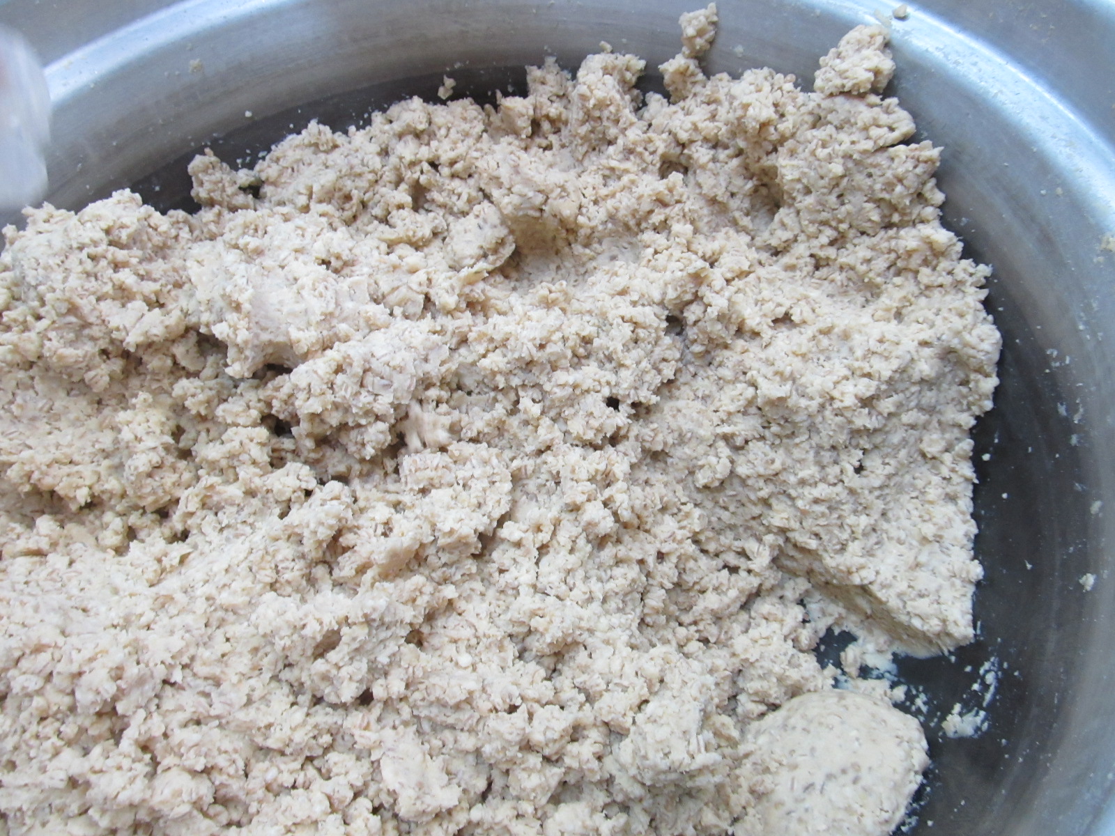 �����X�Â���