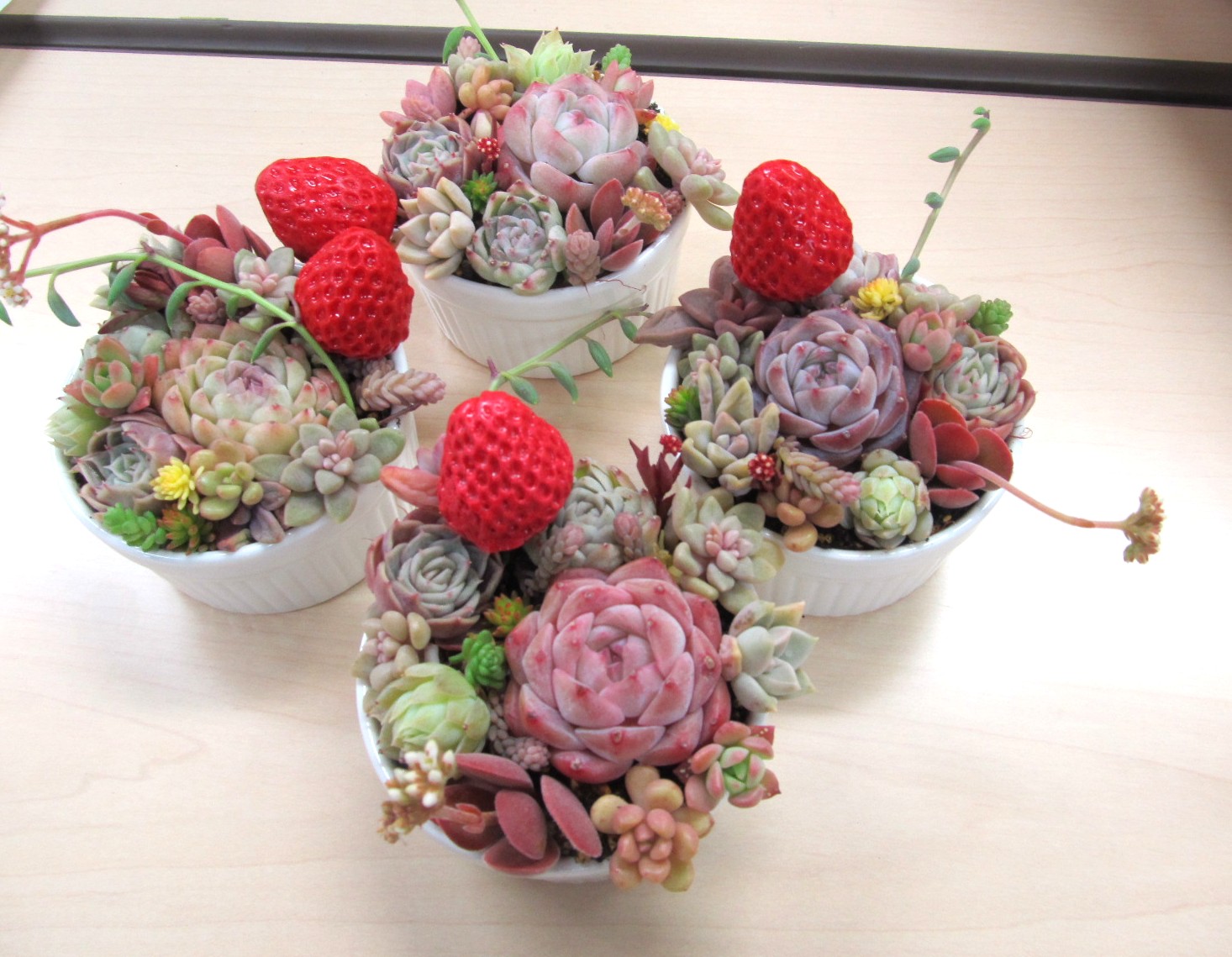 �����A���̊񂹐A���u��