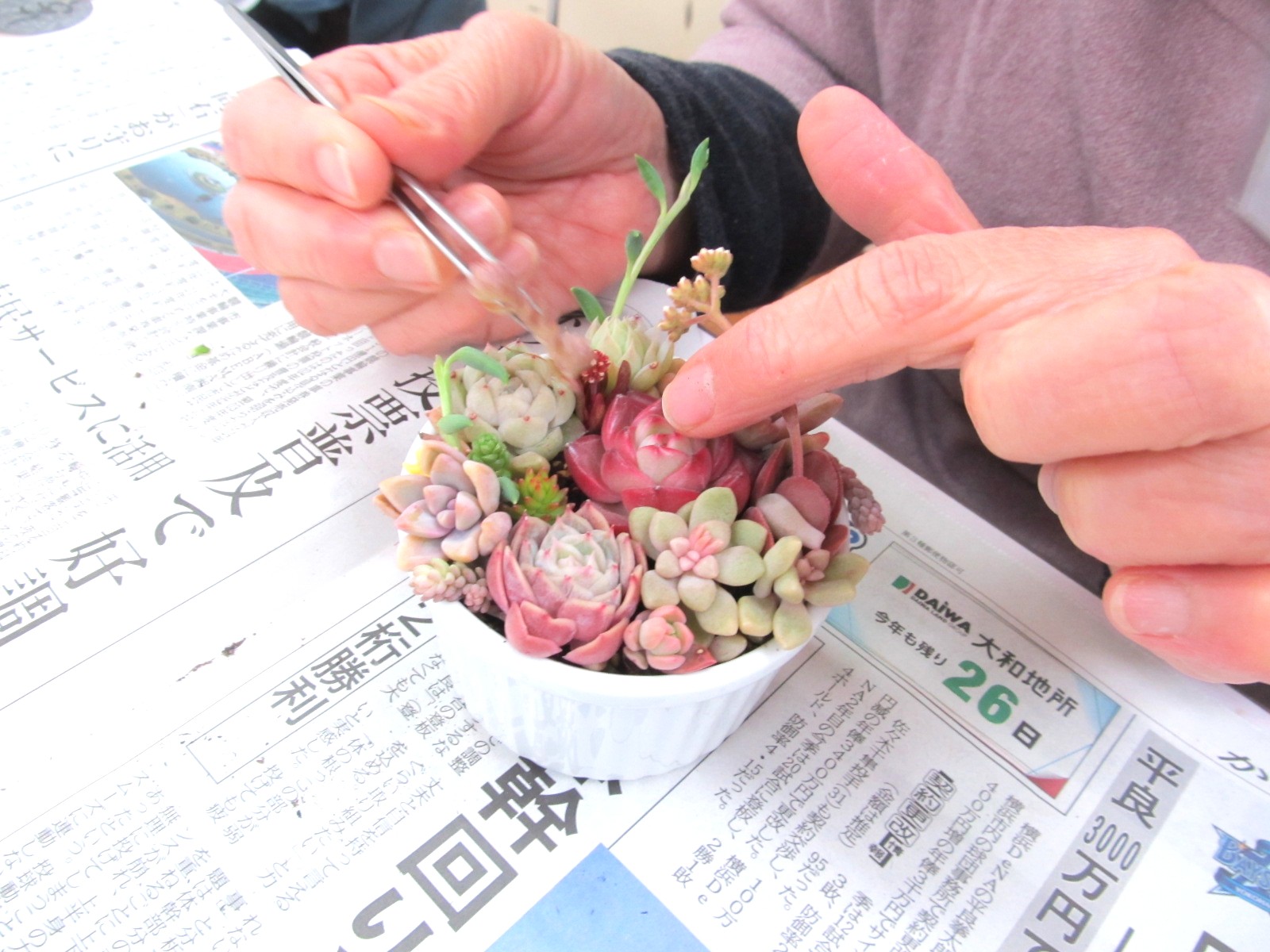 �����A���̊񂹐A���̗l�q