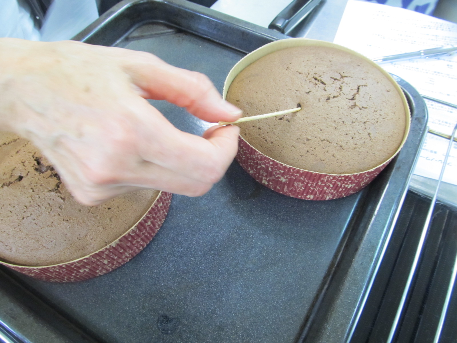 チョコレート生地のスポンジ チョコレート生地のスポンジ